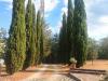 Casa singola VIA DI PEROLLA, PEROLLA - MASSA MARITTIMA rif. MAMA16