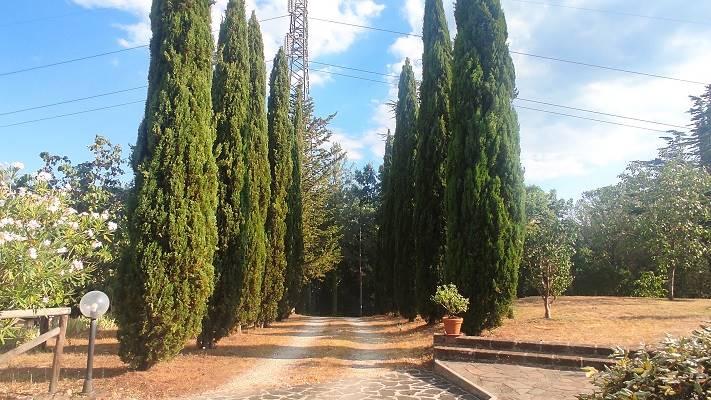 Casa singola VIA DI PEROLLA, PEROLLA - MASSA MARITTIMA rif. MAMA16