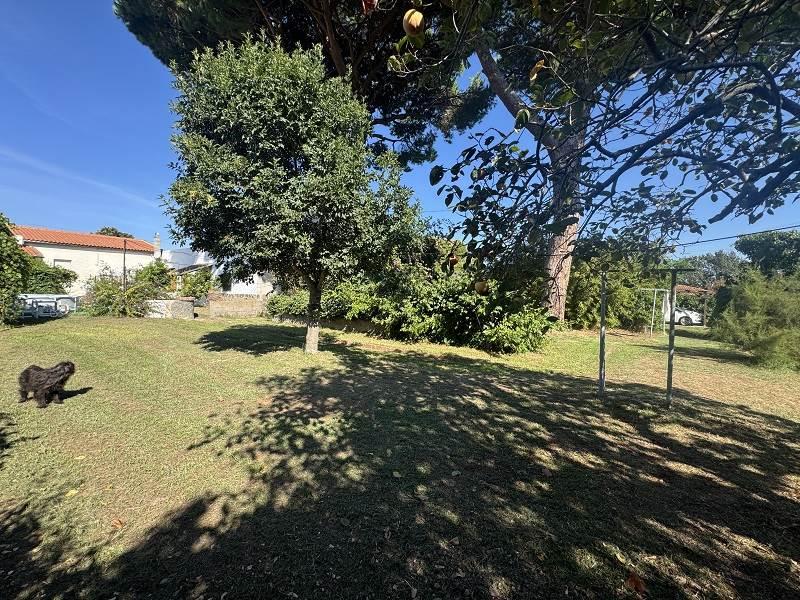 Appartamento FIORENTINA - PIOMBINO rif. PIOM2